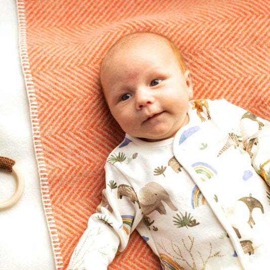 MoodCompanyNL - Babydekentje Visgraat Roze (Flamingo) - 68x73 - Nieuw Wol - Tweedmill UK - 5060674576046