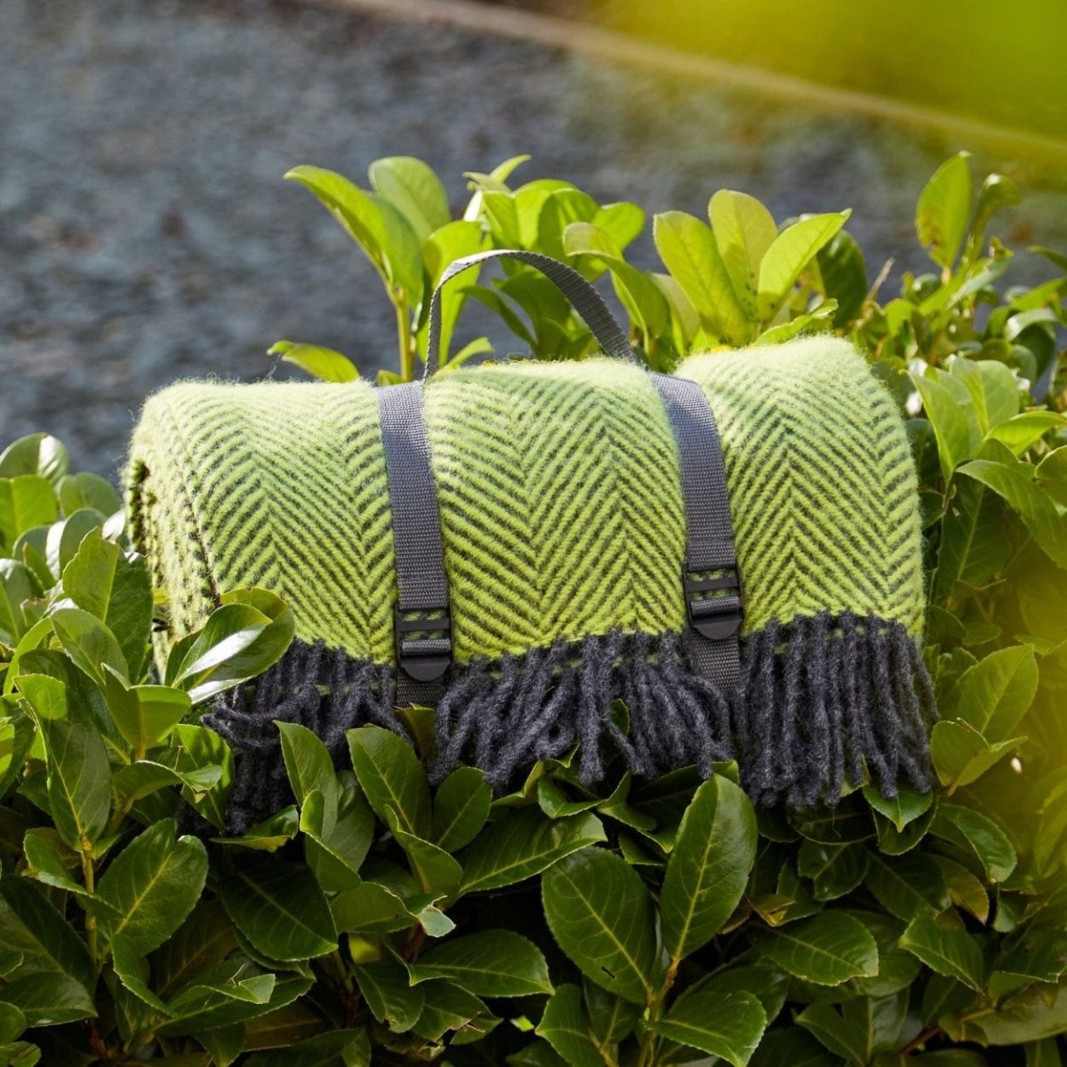 MoodCompanyNL - Picknickkleed Polo Visgraat Heldergroen met Donkergrijs - Wol - Waterdicht - 145x183cm - Tweedmill - 5060958302590