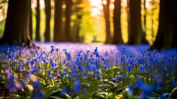 Waarom een deksel op de geurkaars - Mood Company