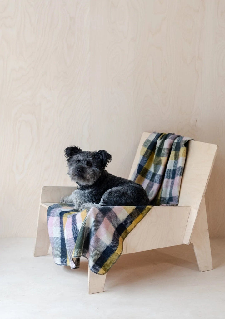 MoodCompanyNL - Hondendeken Geruit Willow - Wol - Geurbestendig - Hypoallergeen - 150x90 - TBCo Scotland - 5055603572084