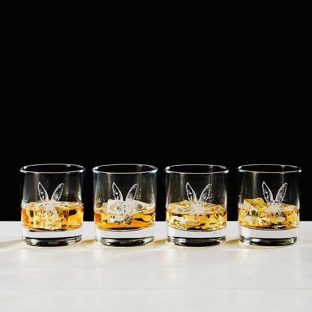 Mood_Company Whiskyglazen 4x Haas