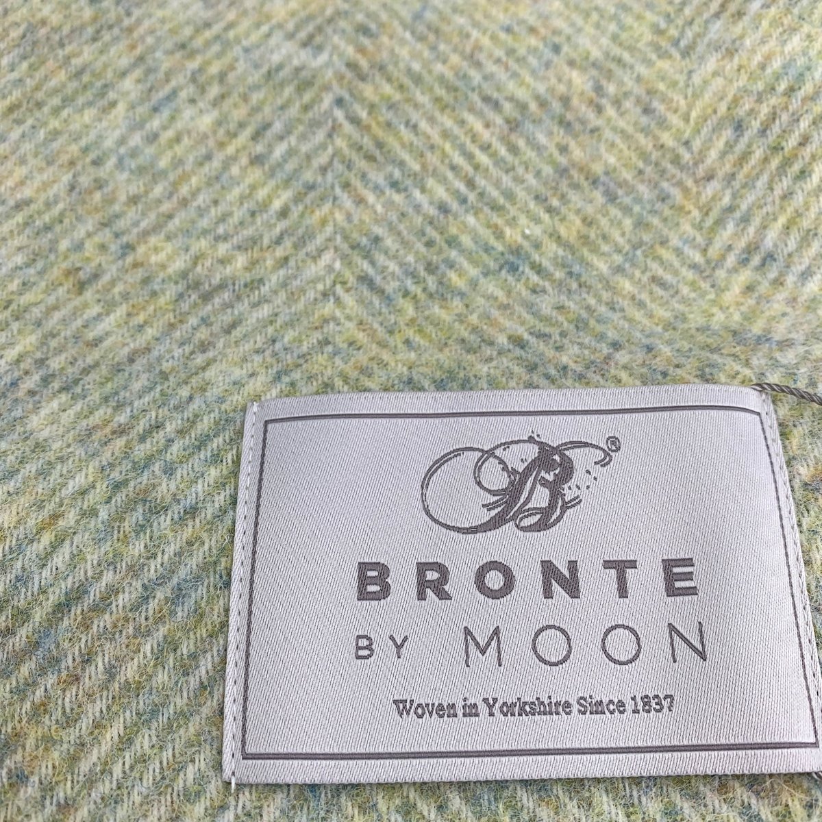 MoodCompanyNL - Plaid Visgraat Licht Naturel Groen (Light Sage) - Shetland Lamswol - 140x185 - Bronte by Moon Scotland - 5057900121569